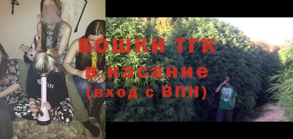 стафф Алексин