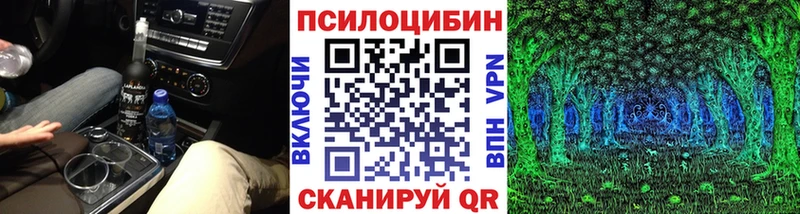 Псилоцибиновые грибы Cubensis  сколько стоит  Москва 